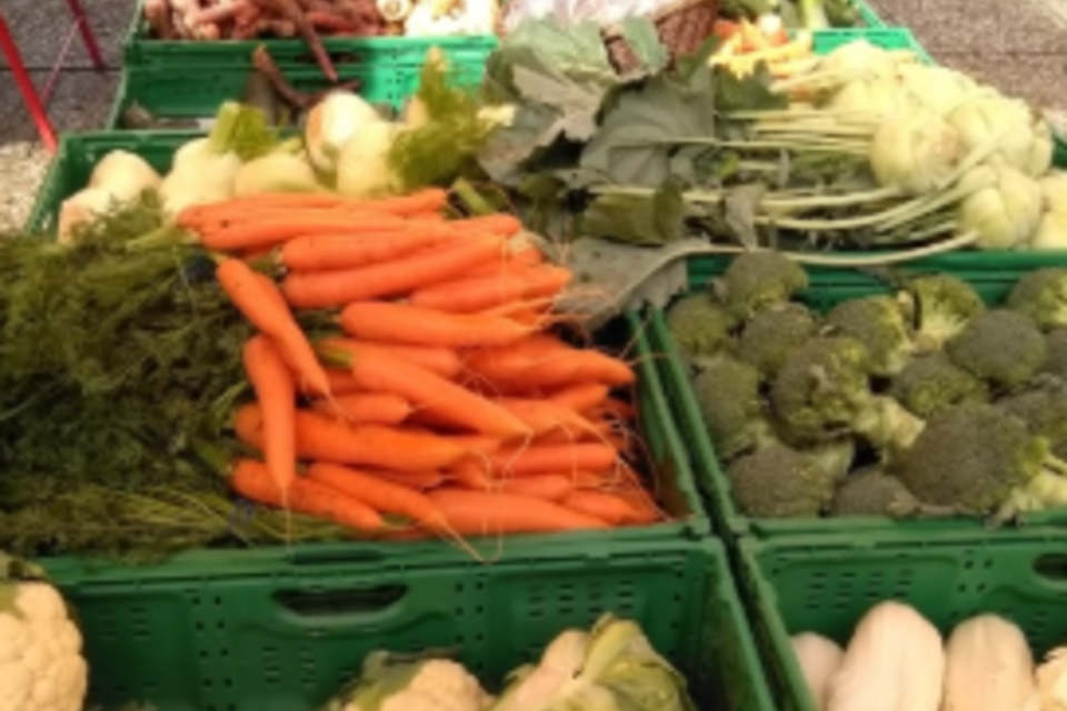 Eine bunte Auswahl an Obst und Gemüse auf einem Bauernmarkt. Im Vordergrund sind Äpfel und frisches Grün zu sehen. | © KK