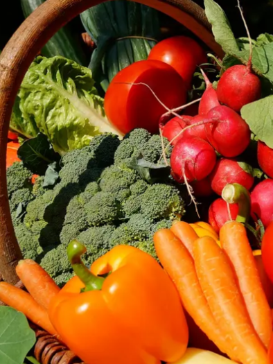 Ein Korb voller frisches Gemüse, darunter Brokkoli, Karotten, Paprika und Tomaten. Die leuchtenden Farben der Gemüse sind sehr einladend.