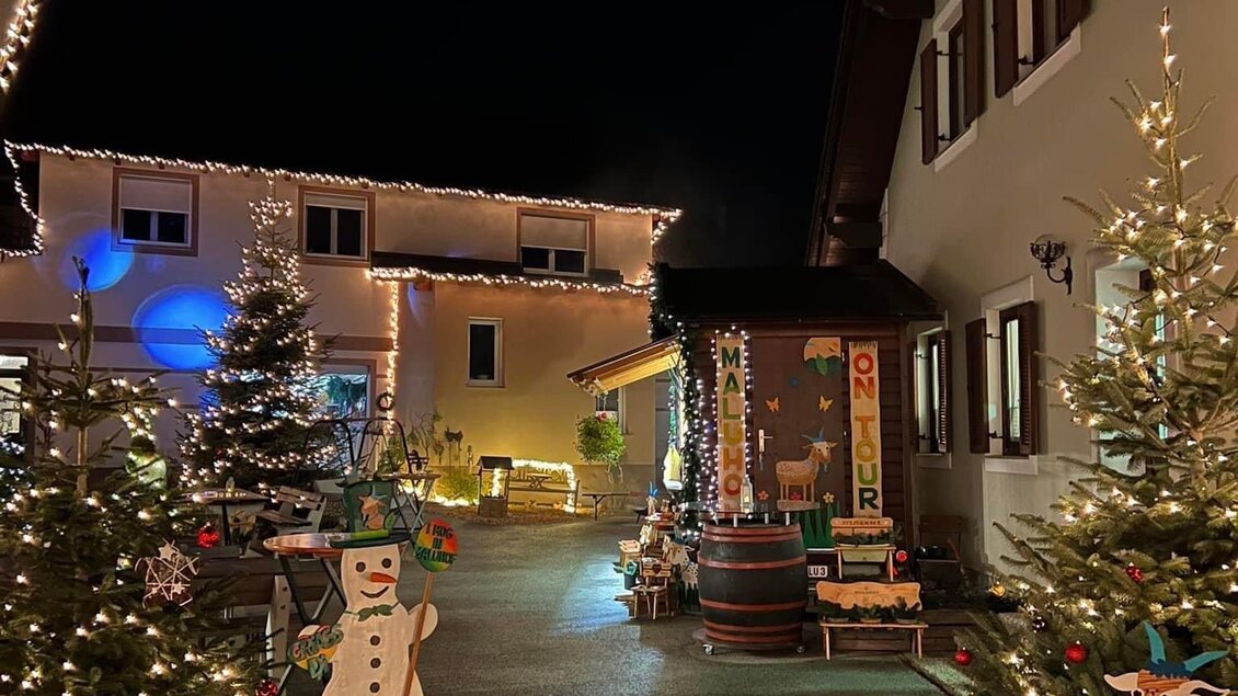 Eine festlich dekorierte Straße mit beleuchteten Weihnachtsbäumen und bunten Figuren. Die Atmosphäre ist warm und einladend, perfekt für die Weihnachtszeit. | © MALU