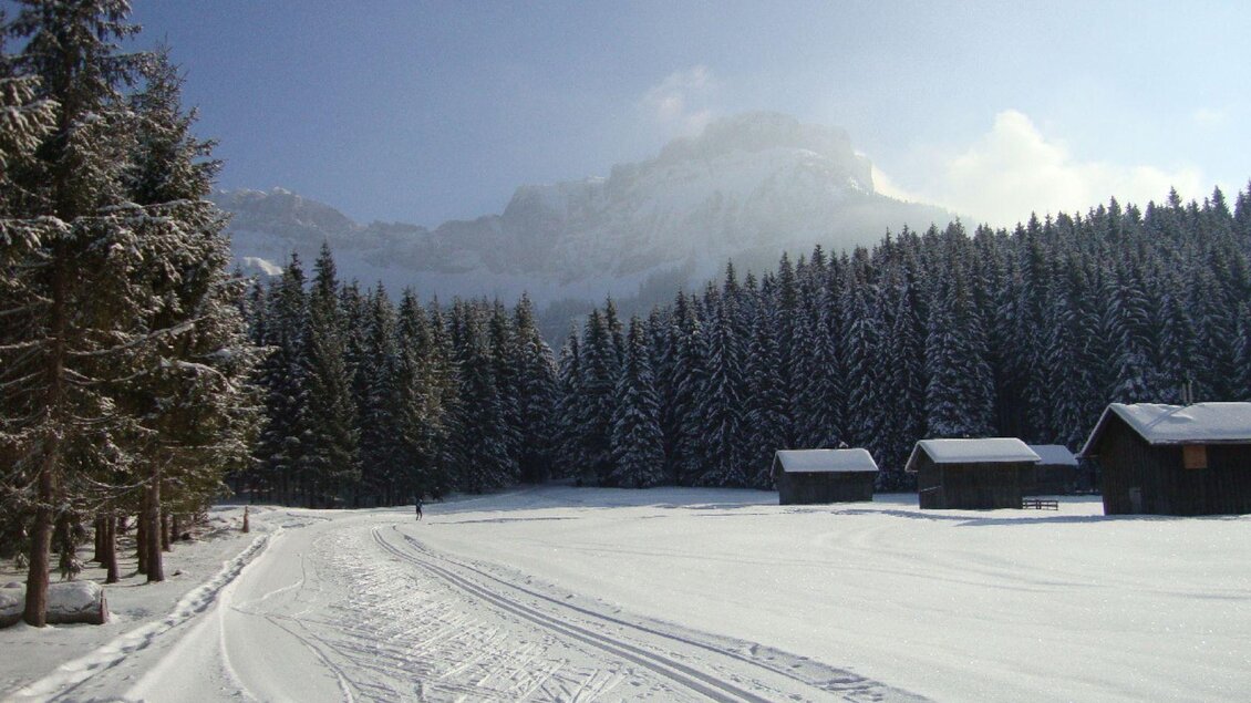 Eine winterliche Landschaft mit schneebedecktem Boden und hohen, grünen Tannen. Im Hintergrund sind Berge zu sehen, und einige kleine Hütten stehen in der Nähe. | © Georg Petritsch