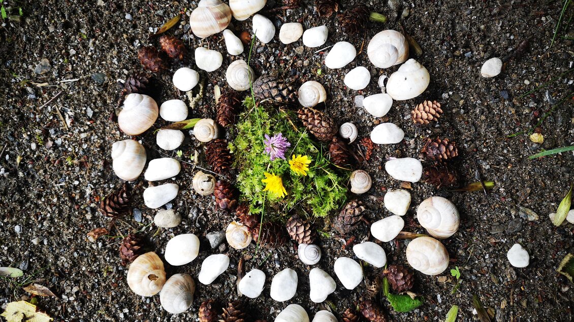 Ein schönes Mandala aus Muscheln, Zapfen und Blumen auf dem Boden. Die Anordnung wirkt harmonisch und natürlich. | © Naturpark Sölktäler