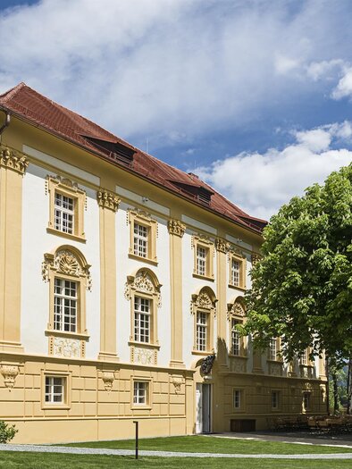 A historic building with yellow walls and ornamental details. In the foreground, there is a large green tree and a clear sky. | © Tauroa GmbH