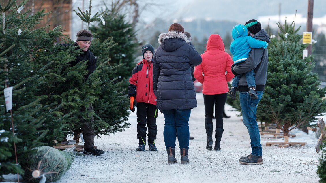 Eine Familie wählt Weihnachtsbäume auf einem verschneiten Platz aus. Kinder und Erwachsene stehen zwischen den Bäumen und unterhalten sich. | © Tourismusverband Oststeiermark