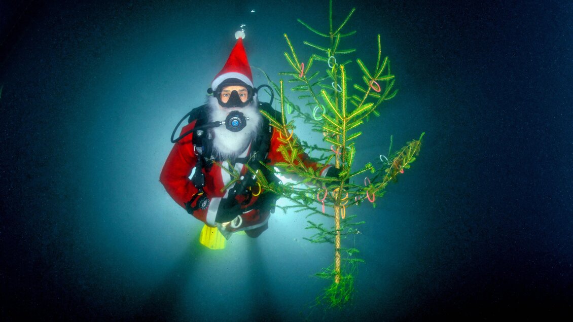 Ein Taucher im Weihnachtsmann-Kostüm hält einen kleinen Weihnachtsbaum unter Wasser. Die Szene ist mystisch und beleuchtet von einem sanften Licht. | © Heinz Toperczer
