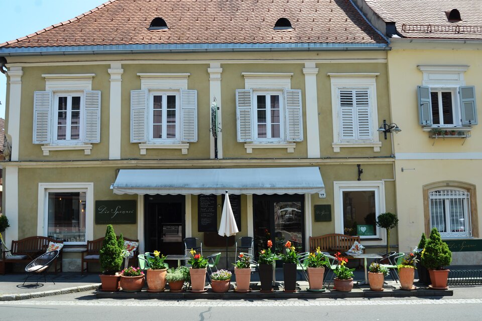 Ein charmantes Gebäude mit grüner Fassade und weißen Fensterläden. Der Eingangsbereich ist mit vielen blühenden Pflanzen und Töpfen dekoriert. | © Hermann