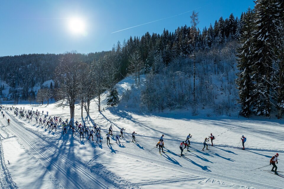 Eine Gruppe von Skifahrern läuft durch eine verschneite Landschaft. Die Sonne scheint und es gibt hohe Bäume im Hintergrund. | © Hans-Peter Steiner