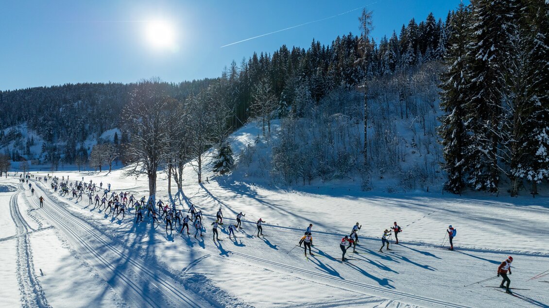 Eine Gruppe von Skifahrern läuft durch eine verschneite Landschaft. Die Sonne scheint und es gibt hohe Bäume im Hintergrund. | © Hans-Peter Steiner