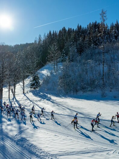 Eine Gruppe von Skifahrern läuft durch eine verschneite Landschaft. Die Sonne scheint und es gibt hohe Bäume im Hintergrund. | © Hans-Peter Steiner