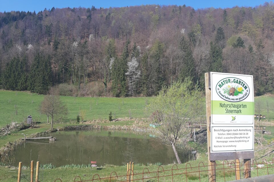 Ein idyllischer Naturgarten mit einem kleinen Teich und umliegenden Wiesen. Im Hintergrund sind Bäume und sanfte Hügel zu sehen.