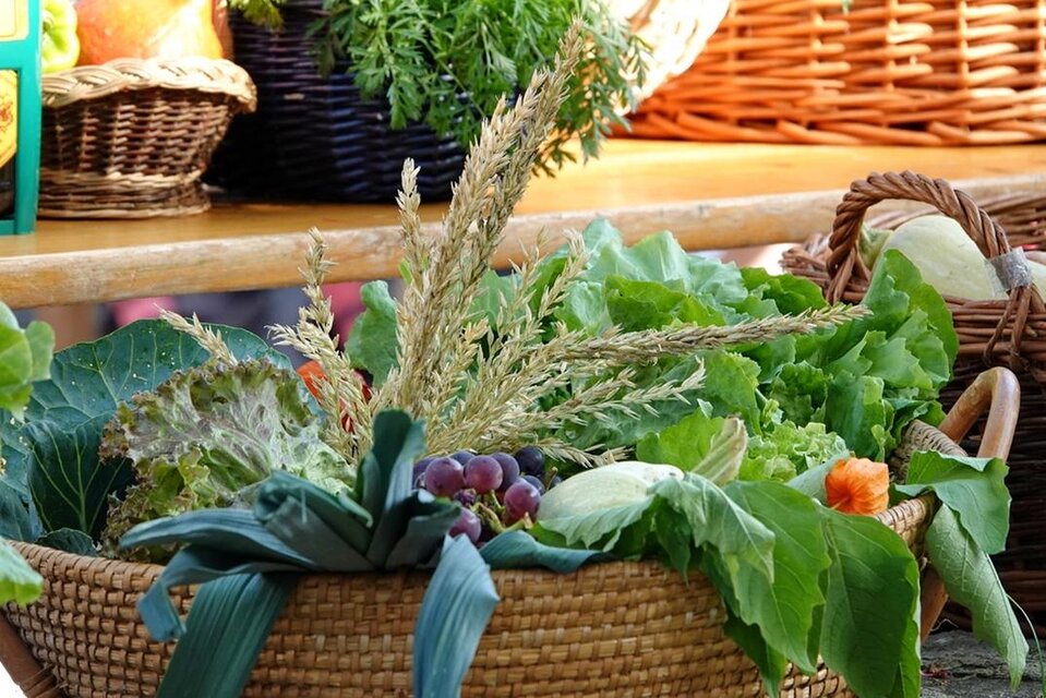 Ein Korb voller frischer Gemüse und Kräuter steht auf einem Tisch. Die bunten und grünen Pflanzen verleihen dem Bild eine einladende, natürliche Atmosphäre. | © Pfarre Anger