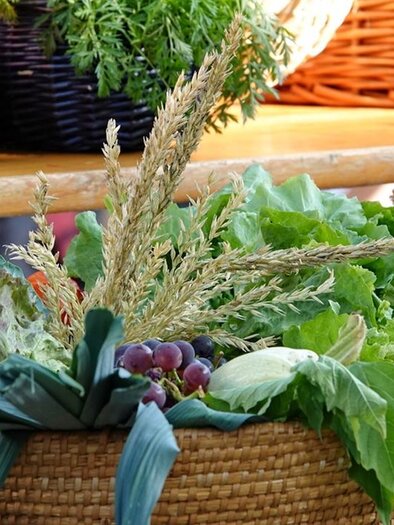 Ein Korb voller frischer Gemüse und Kräuter steht auf einem Tisch. Die bunten und grünen Pflanzen verleihen dem Bild eine einladende, natürliche Atmosphäre. | © Pfarre Anger