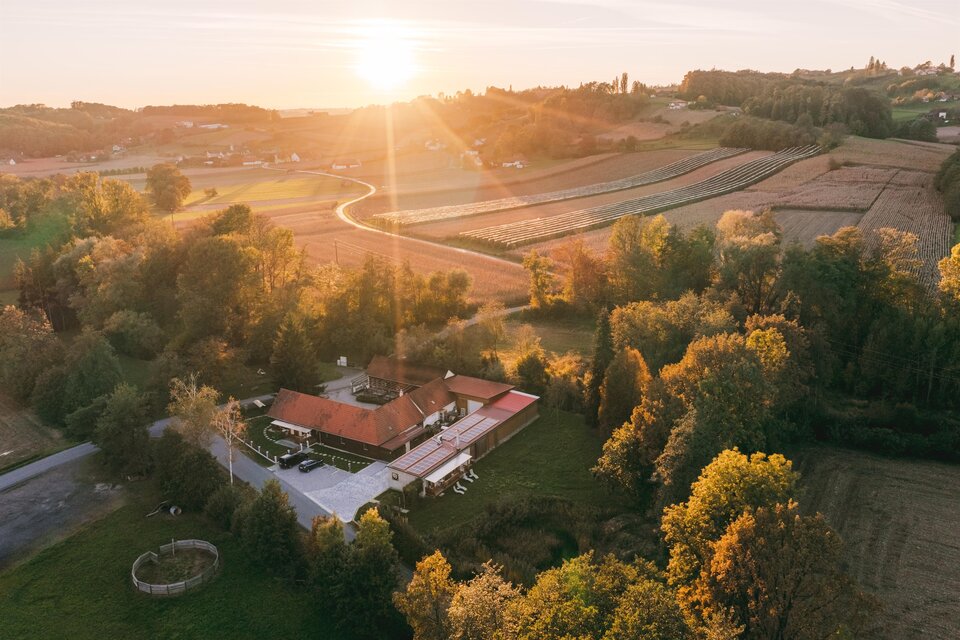 Ein malerisches Haus umgeben von grünen Feldern und Bäumen. Die Sonne steht tief am Himmel und taucht die Landschaft in warmes Licht. | © Familie Monschein