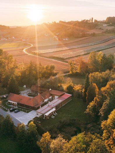 BioWeinHof Monschein | © Familie Monschein