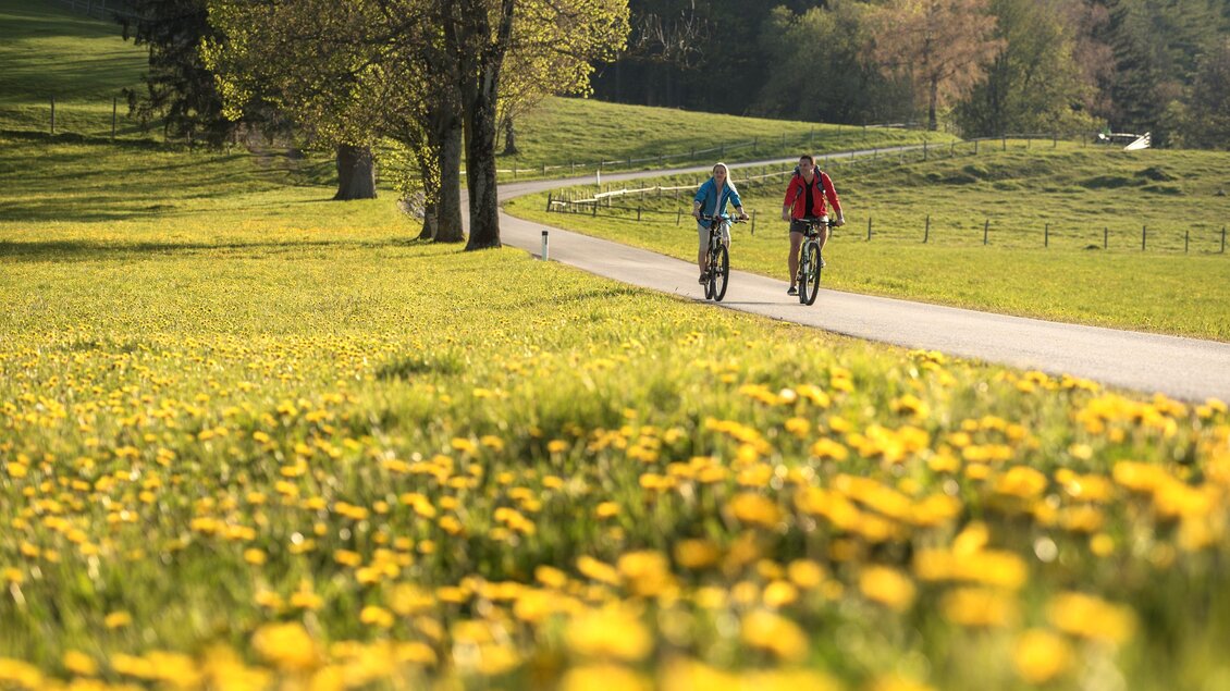 Radfahren umgeben von Löwenzahnfeldern im Naturpark Almenland | © Tourismusverband Oststeiermark