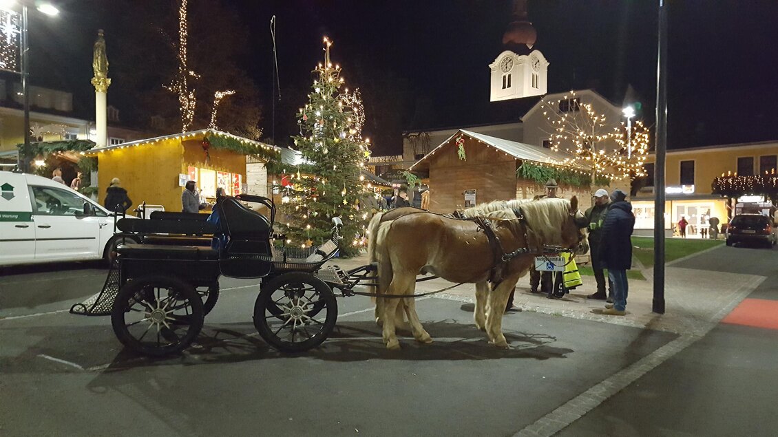 Ein Pferd mit einem Wagen steht auf einem festlich geschmückten Platz bei Nacht. Im Hintergrund sind weihnachtlich beleuchtete Stände und ein schöner Tannenbaum zu sehen. | © Stadtgemeinde Friedberg