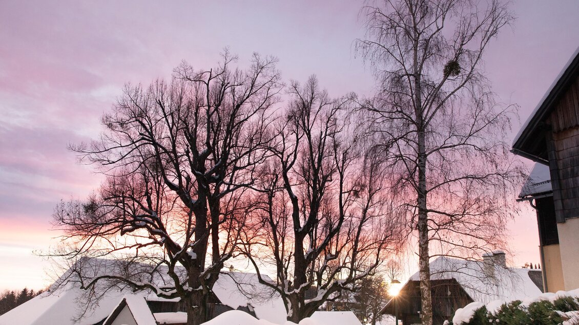 Eine verschneite Landschaft mit hohen Bäumen und einem schönen Sonnenuntergang. Die Dächer der Häuser sind mit Schnee bedeckt. | © Lupi Spuma