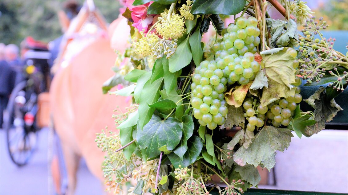 Eine dekorative Trauben- und Pflanzenanordnung, die an einem Wagen hängt. Im Hintergrund sind verschwommen weitere Personen und ein Kutschwagen zu sehen. | © IG Tourismus Gamlitz