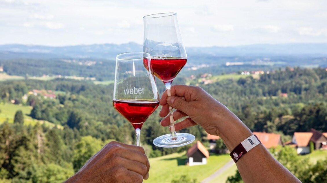 Zwei Gläser mit Rotwein stoßen in der Natur an, umgeben von einer grünen Landschaft. Im Hintergrund sind sanfte Hügel und ein blauer Himmel zu sehen. | © Foto Augenblick