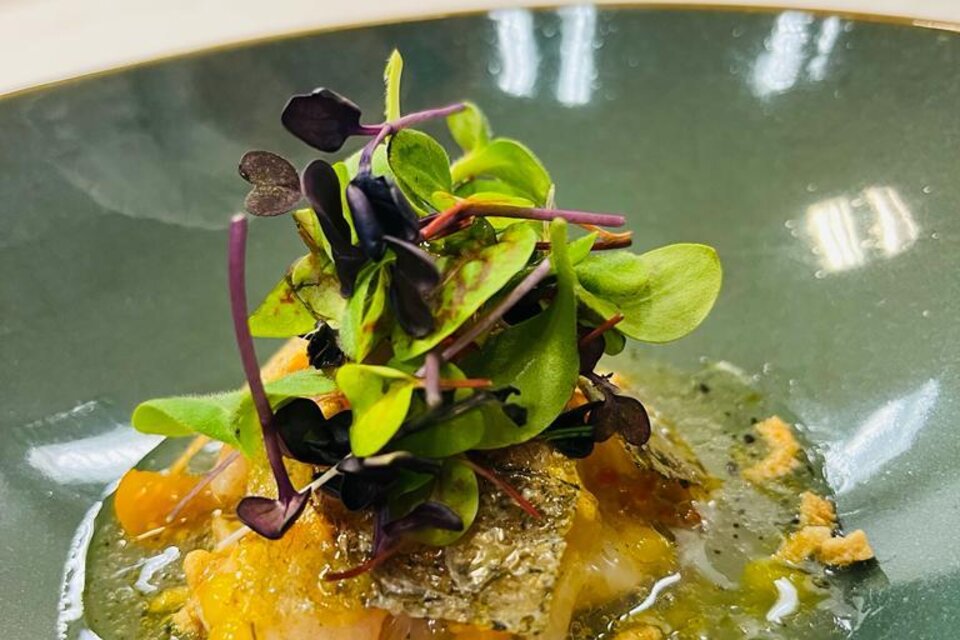 Ein kunstvoll angerichtetes Gericht auf einem grünen Teller. Es enthält eine Garnele, frische Kräuter und eine aromatische Soße. | © Andreas Wieser