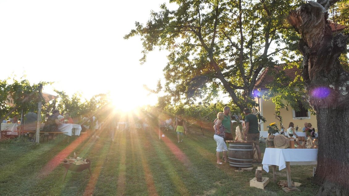 Eine idyllische Weinlese mit Sonnenstrahlen, die durch die Bäume scheinen. Menschen genießen die Atmosphäre inmitten von Weinreben und Tischen im Freien. | © Rupert Bruchmann