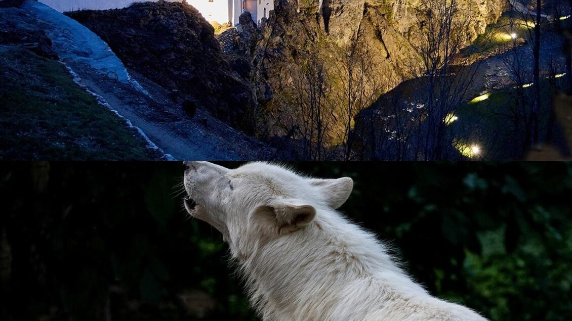 Gartenschloss Herberstein und Tierwelt Herberstein bei Nacht.Vollmondfest mit Nachtaktive Exoten. | © Tierwelt und Gartenschloss Herberstein