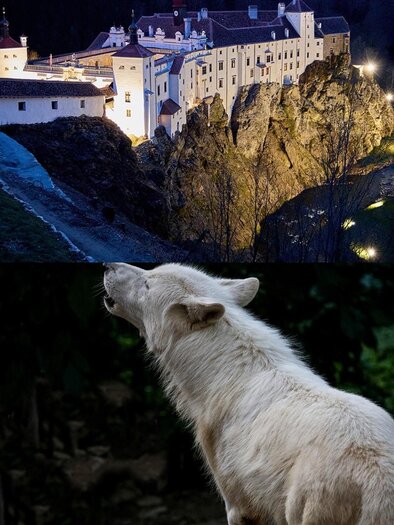 Herberstein Garden Castle and Herberstein Animal World at Night. Full Moon Festival with nocturnal exotics. | © Tierwelt und Gartenschloss Herberstein