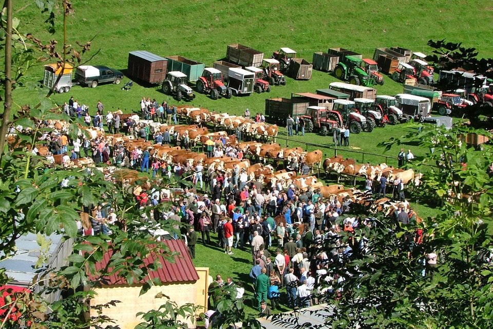 Viehmarkt Gasen_Oststeiermark_Gde Gasen | © Gemeinde Gasen