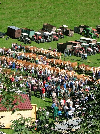 Viehmarkt Gasen_Oststeiermark_Gde Gasen | © Gemeinde Gasen