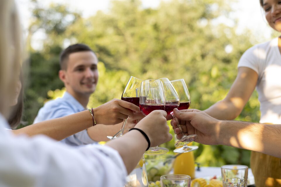 Eine Gruppe von Freunden stößt mit Weingläsern an. Im Hintergrund sind grünes Laub und eine entspannte Atmosphäre zu sehen. | © freepik
