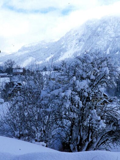 Stadtpfarrkirche St. Paul, Bad Aussee | © TVB Ausseerland Salzkammergut_Pirker