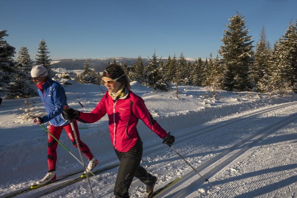 zu sehen sind Langläufer. | © Bernhard Bergmann