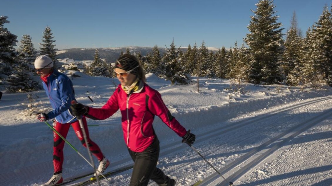 zu sehen sind Langläufer. | © Bernhard Bergmann