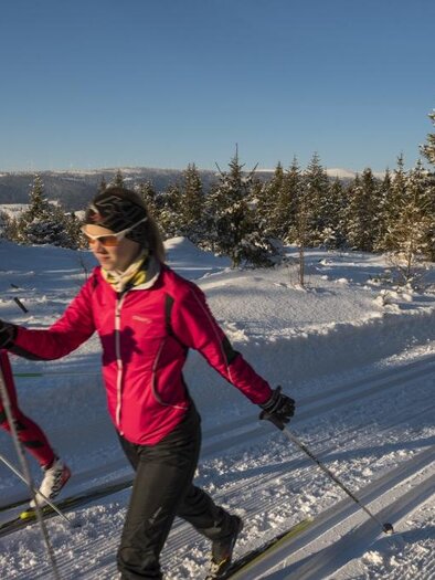 Visible are cross-country skiers. | © Bernhard Bergmann