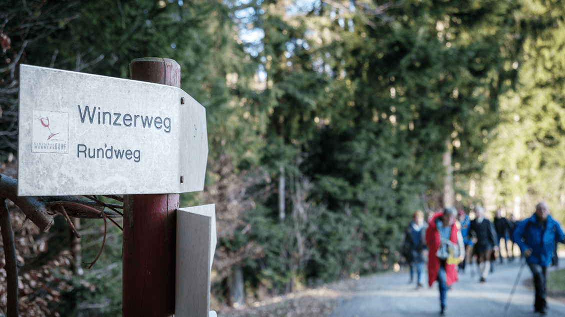 Ein Wegweiser für den Winzerweg steht im Vordergrund. Im Hintergrund sind Wanderer auf einem Waldweg zu sehen. | © Florian Jöbstl
