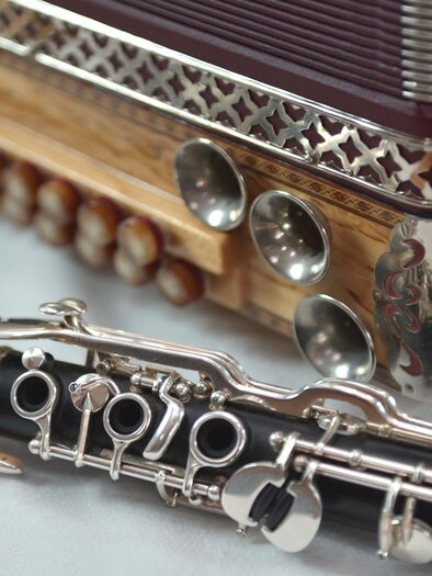 An accordion and an oboe are lying on a table. Both instruments are detailed and clearly visible. | © AdobeStock_234144801