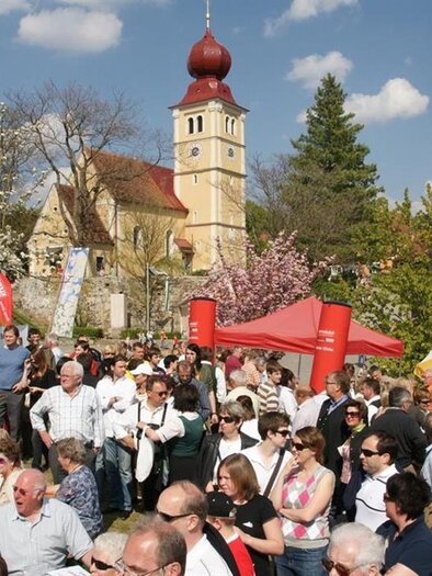 A lively festival with many people celebrating together. In the background, there is a historic church and blooming trees. | © Tourismusverband Oststeiermark/Walter Schneider