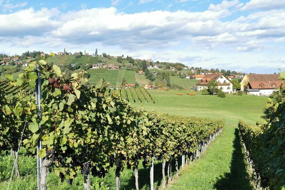 Junkerwanderung - Impression #1