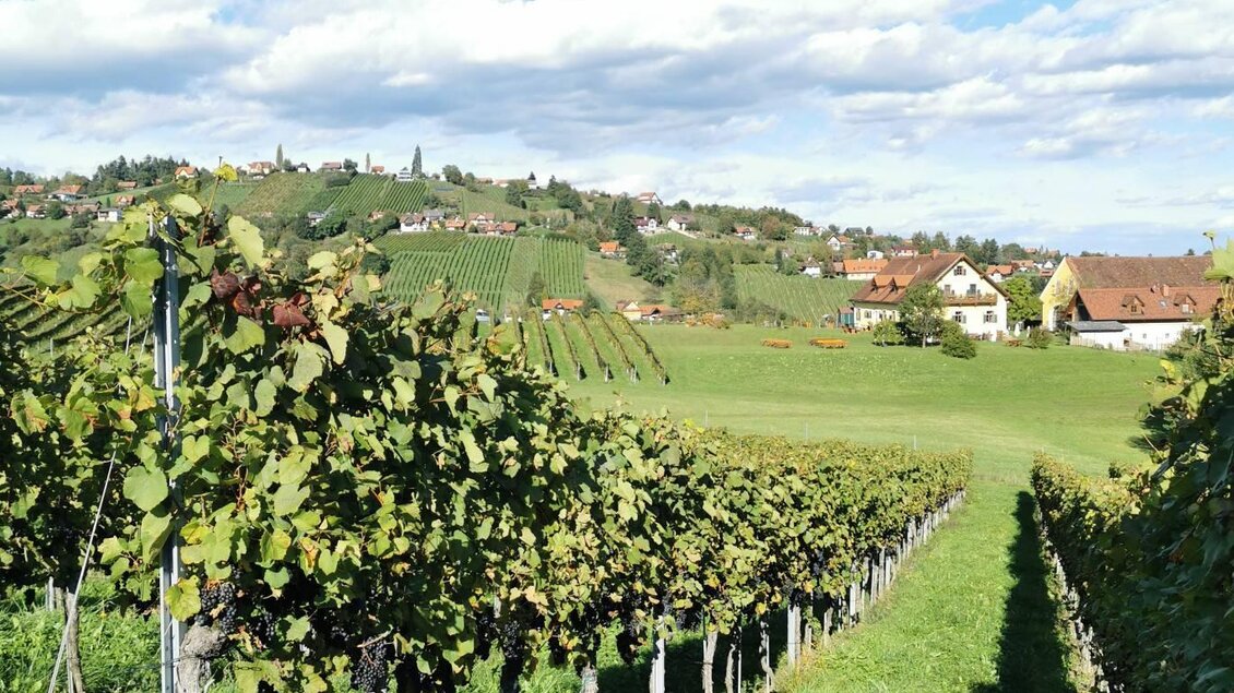 Junkerwanderung - Impressionen #2.8