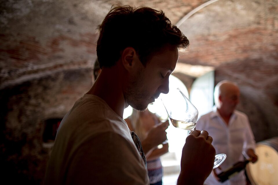 Ein Mann riecht an einem Weinglas in einem Weinkeller. Im Hintergrund sind weitere Personen zu sehen, die ebenfalls Wein genießen. | © Tom Lamm