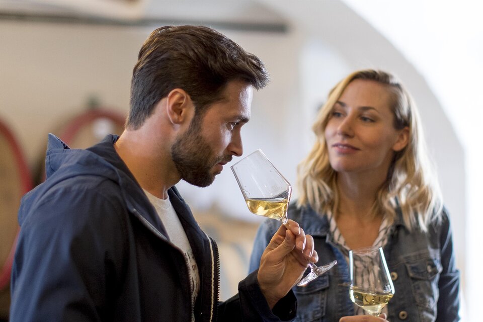 Ein Mann und eine Frau stehen mit Weingläsern in der Hand. Sie scheinen ein Weinerlebnis zu genießen und miteinander zu kommunizieren. | © Tourismusverband_Tom Lamm