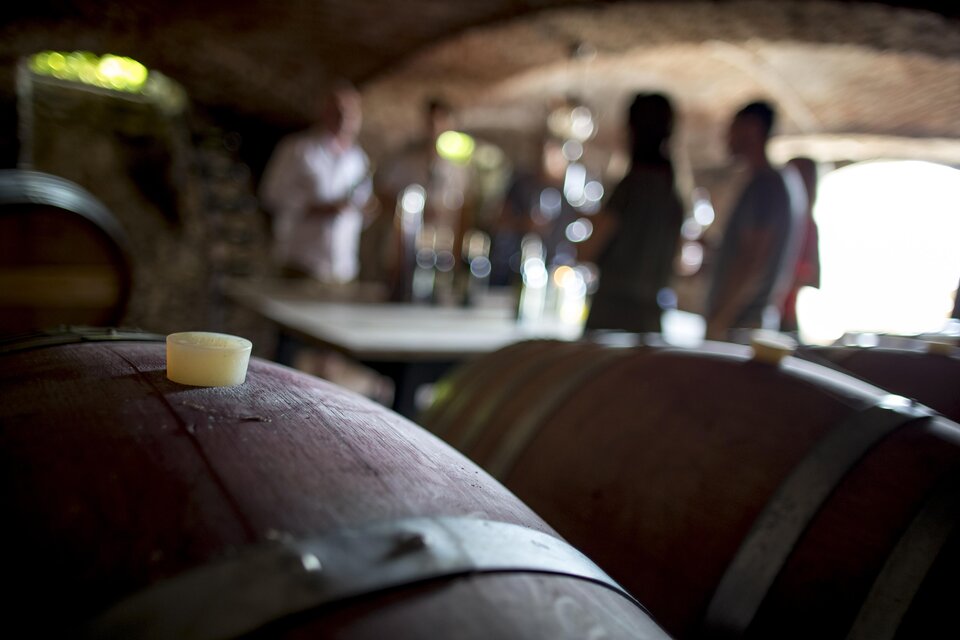 Ein Weinkeller mit Holzfässern im Vordergrund. Im Hintergrund sind Menschen, die sich unterhalten und Wein verkosten. | © Tom Lamm
