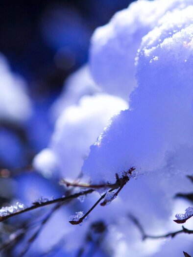 Winter | © TVB Thermen- & Vulkanland