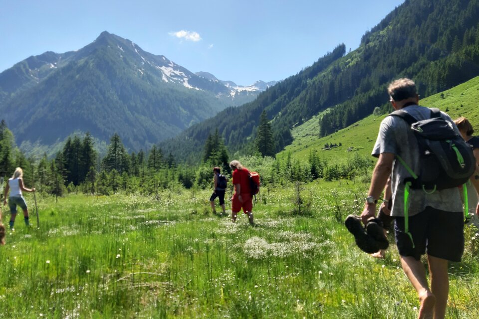 Eine Gruppe von Wanderern erkundet eine grüne Wiese in den Bergen. Im Hintergrund sind hohe Berge und eine klare, blaue Himmel zu sehen. | © Naturpark Sölktäler