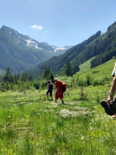 Eine Gruppe von Wanderern erkundet eine grüne Wiese in den Bergen. Im Hintergrund sind hohe Berge und eine klare, blaue Himmel zu sehen. | © Naturpark Sölktäler