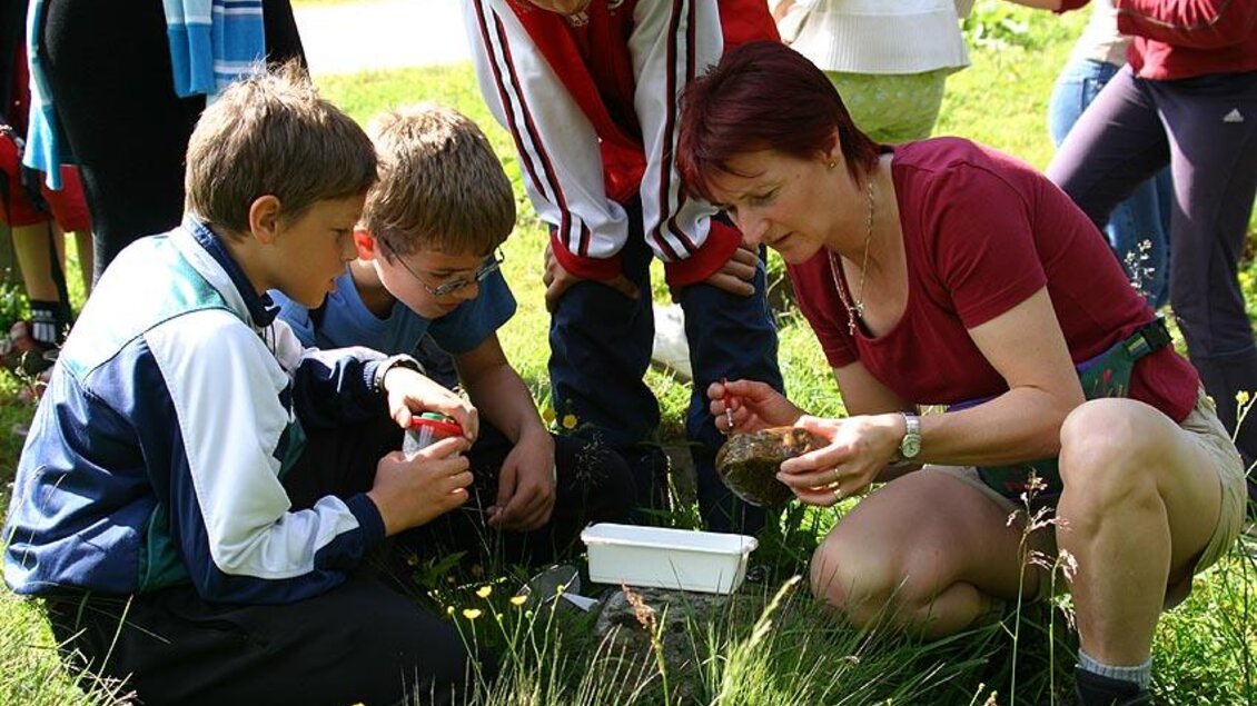 Eine Gruppe von Kindern beobachtet neugierig die Natur mit einer Erwachsenen. Sie sitzen im Gras und untersuchen etwas in einer weißen Box. | © Naturpark Sölktäler