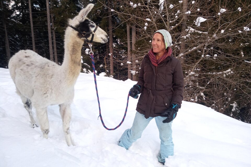 Eine Frau steht im Schnee und hält ein Lama an der Leine. Im Hintergrund sind schneebedeckte Bäume zu sehen. | © LamaTour-Orso Gigleitner