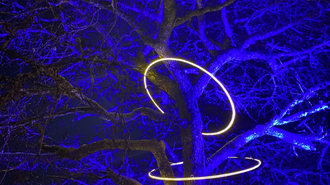 Ein Baum bei Nacht ist in blaues Licht getaucht. Leuchtende Ringe umgeben die Äste und schaffen eine stimmungsvolle Atmosphäre. | © Ulli Koller