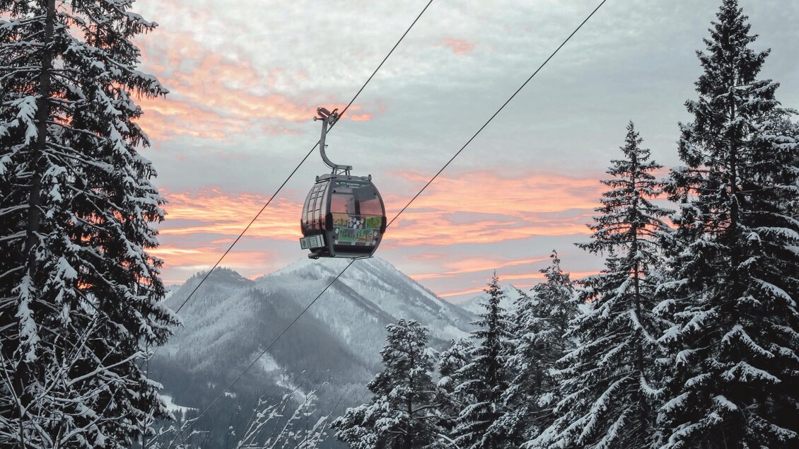 Eine Seilbahn schwebt über schneebedeckte Bäume in einer winterlichen Landschaft. Der Himmel ist in sanften Farben der Dämmerung gefärbt. | © Anna-Scherfler