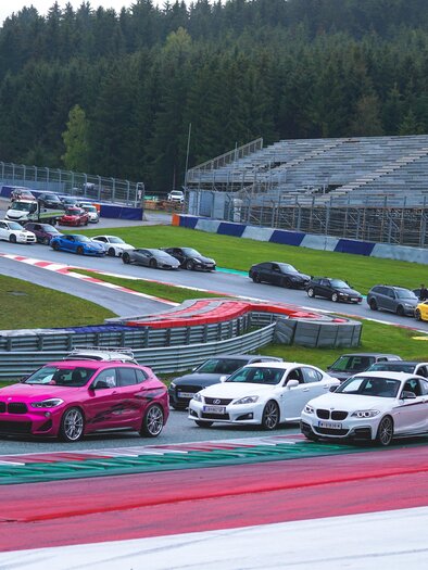 A series of cars on a racetrack with a green forest in the background. The vehicles vary in color and model, while spectator stands are visible in the background. | © Lowscty