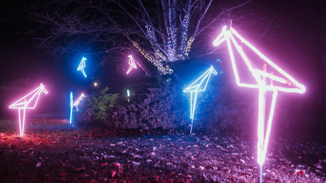 Abstrakte Vögl beleuchtet in rosa und blau | © Region Graz - studio draussen